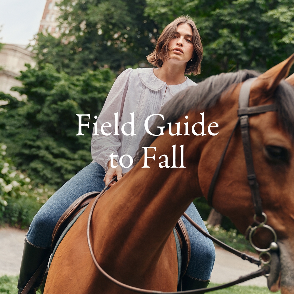 field guide to fall
