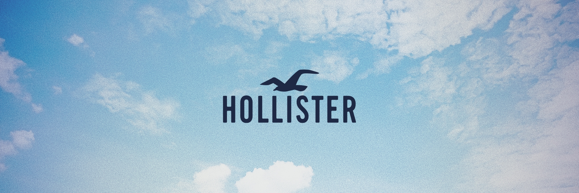 hollister and co