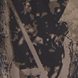 brown camo