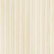 creamy yellow stripe
