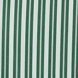green stripe