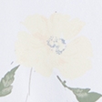 white floral