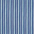 dutch blue stripe