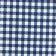 navy gingham