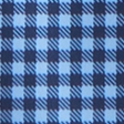 blue gingham