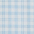 light turquoise check