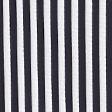 navy stripe