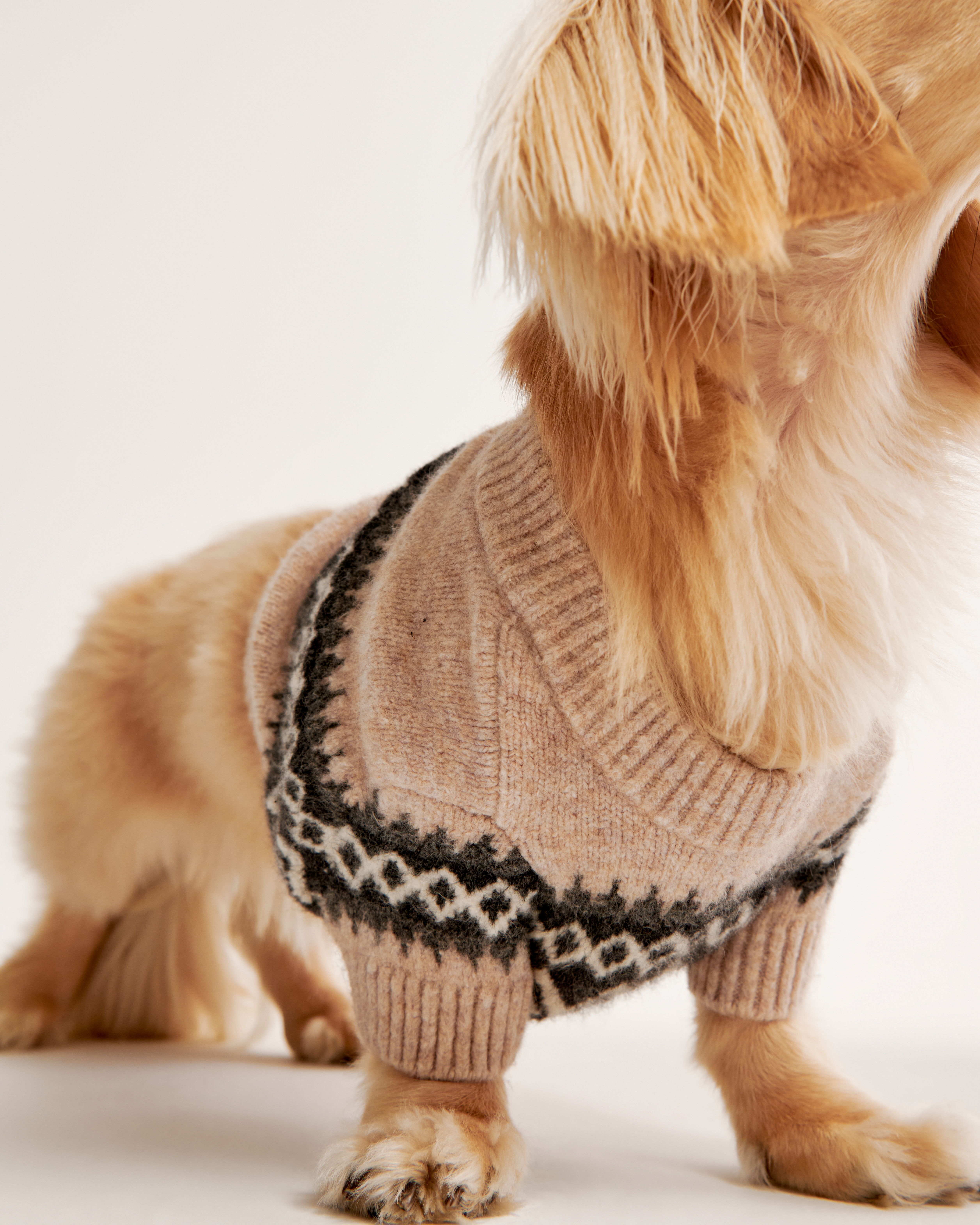 Women s A F Pet Sweater Women s Sale Abercrombie