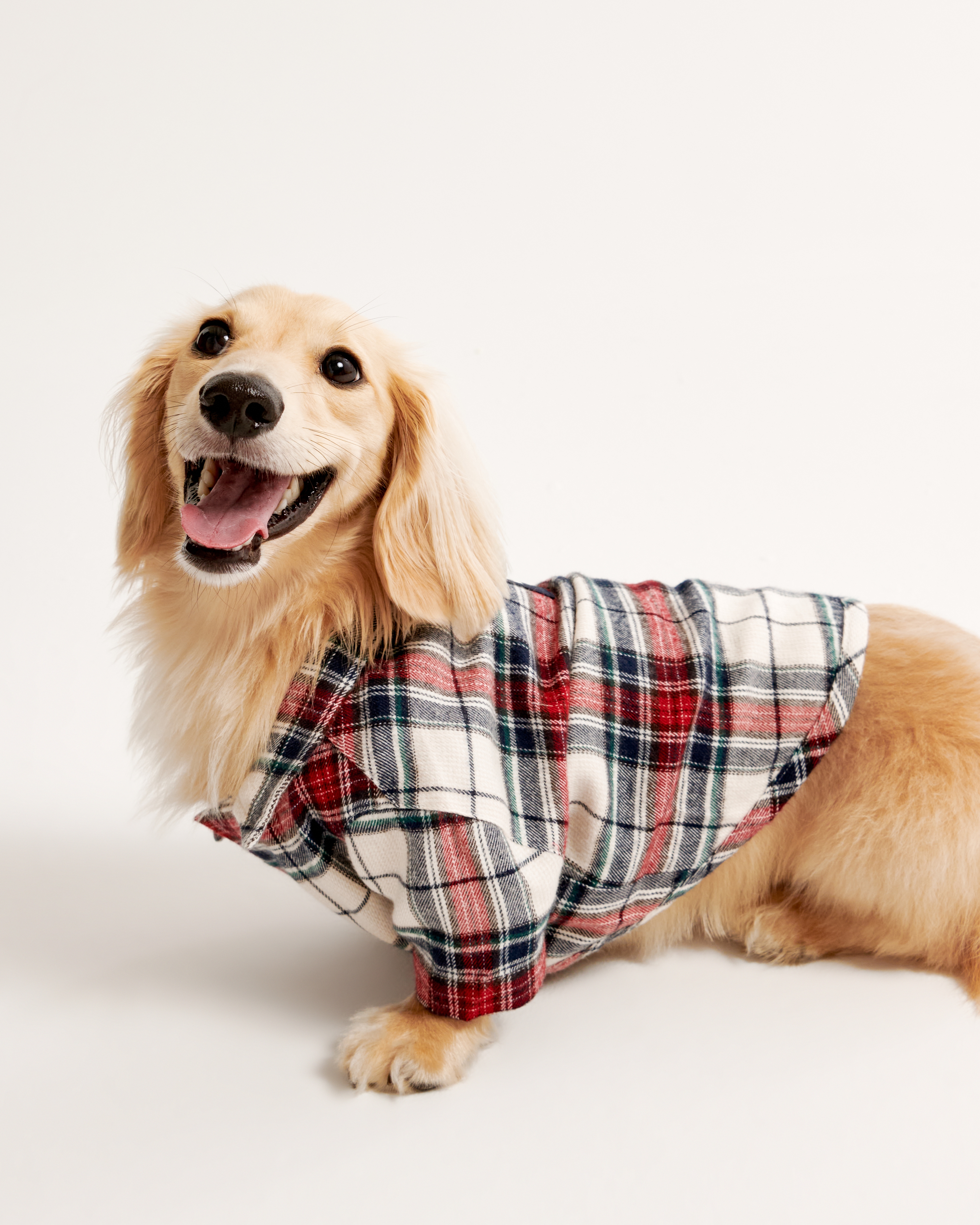 Abercrombie 2024 dog pajamas