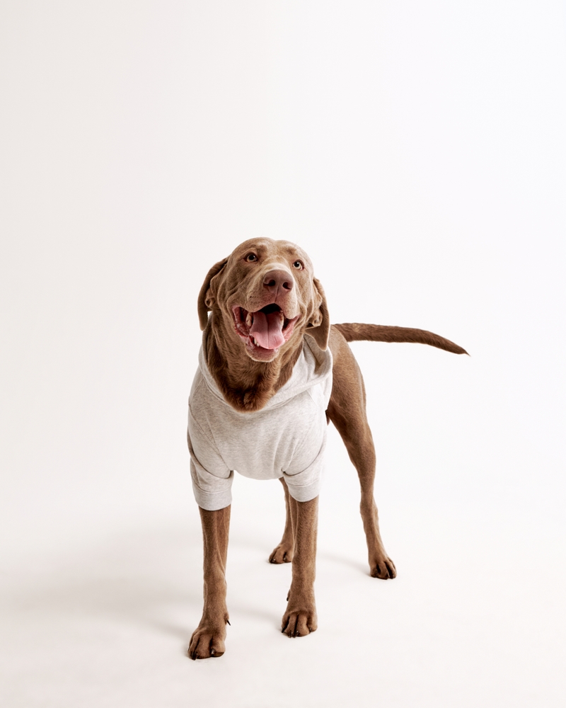 Dallas Cowboys Pet Pupover