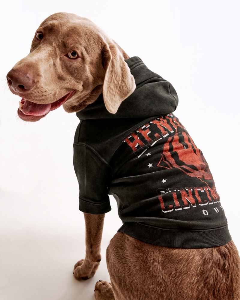 Abercrombie Dog Eagles Hoodie Men's Cincinnati Bengals Pet