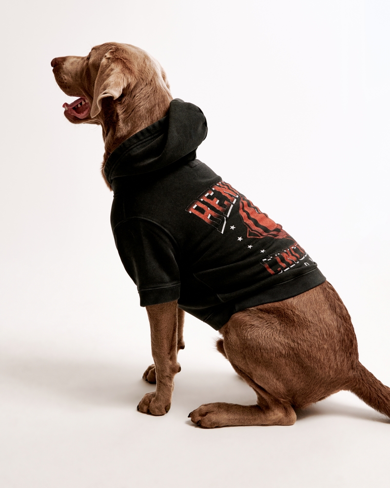 Men's Cincinnati Bengals Pet Pupover Men's Clearance