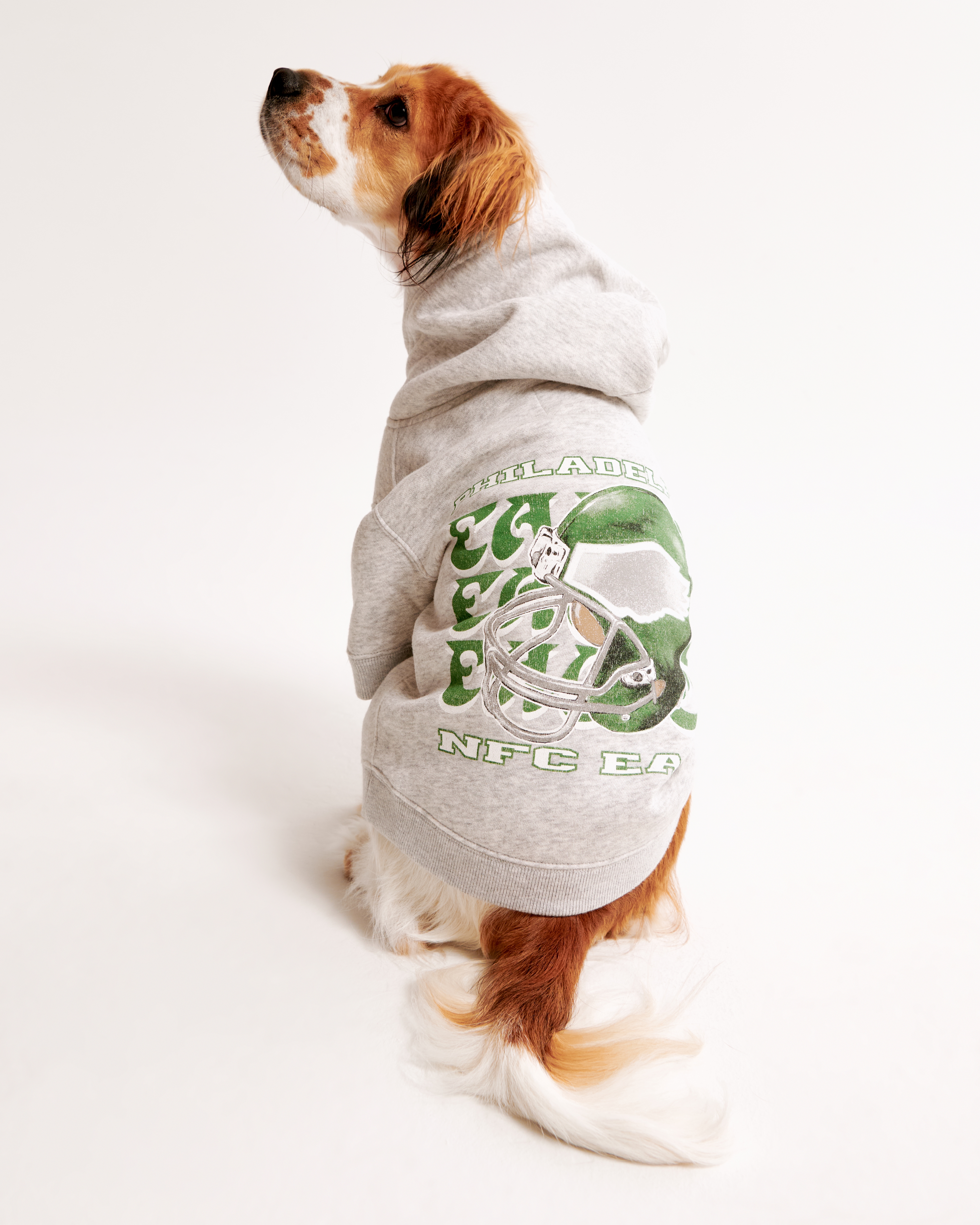 Philadelphia Eagles Pet Pupover