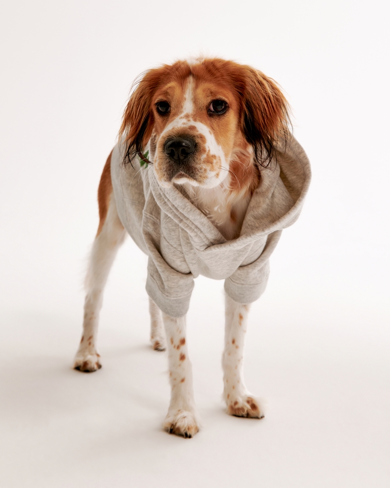 Philadelphia Eagles Pet Pupover