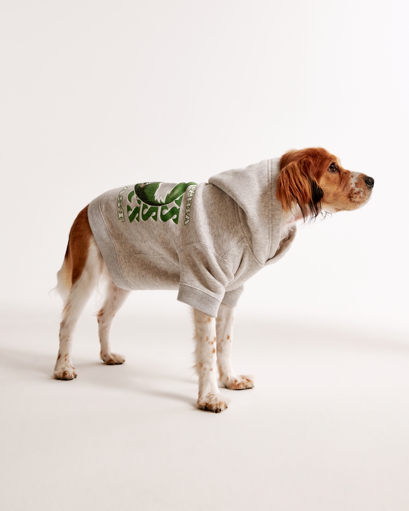 Philadelphia Eagles Pet Pupover