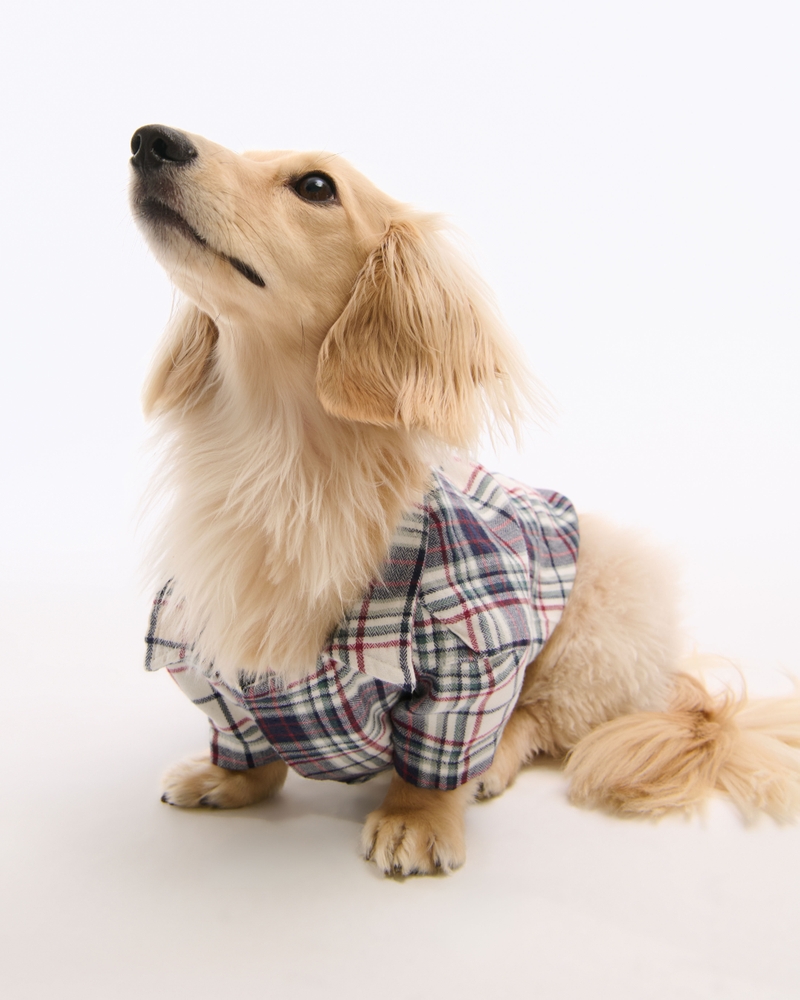 A&F Pet Flannel