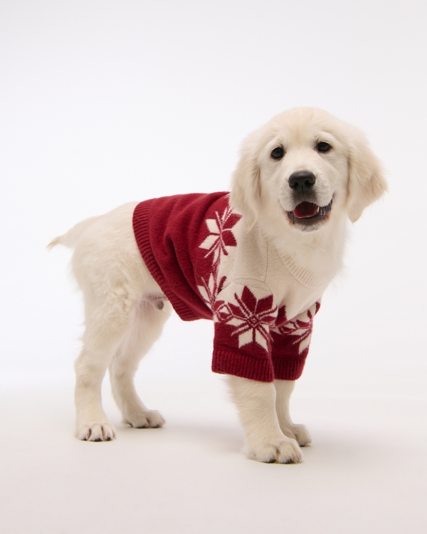 A&F Pet Sweater, Red Pattern view 1