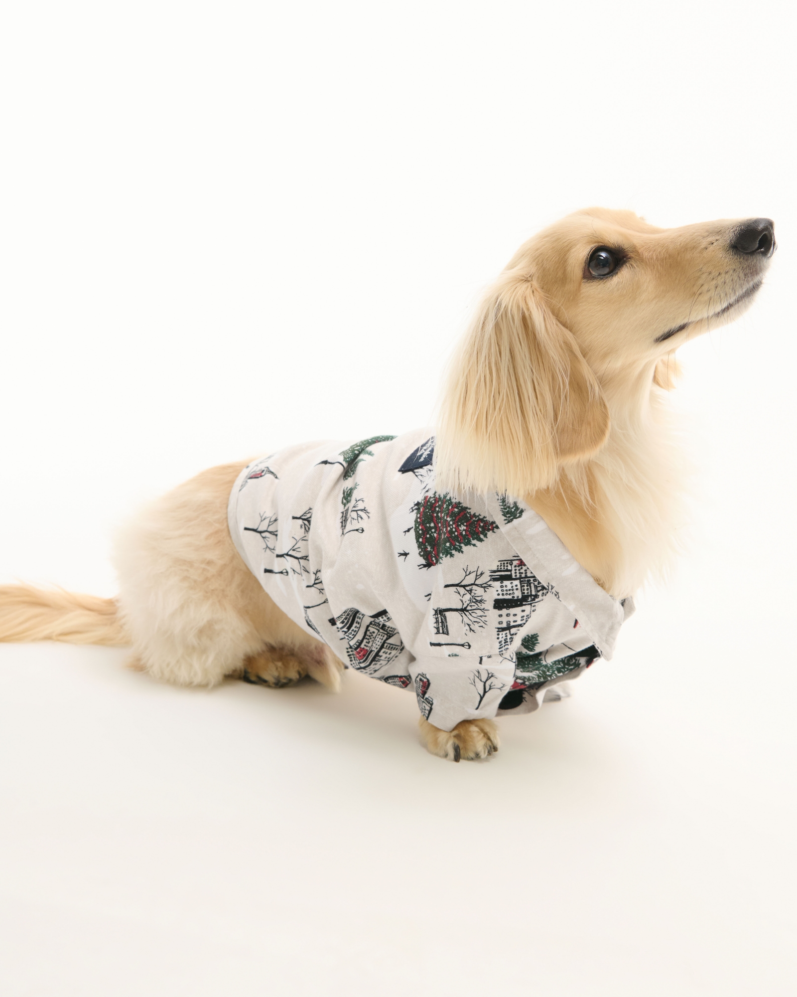 A&F Pet Flannel
