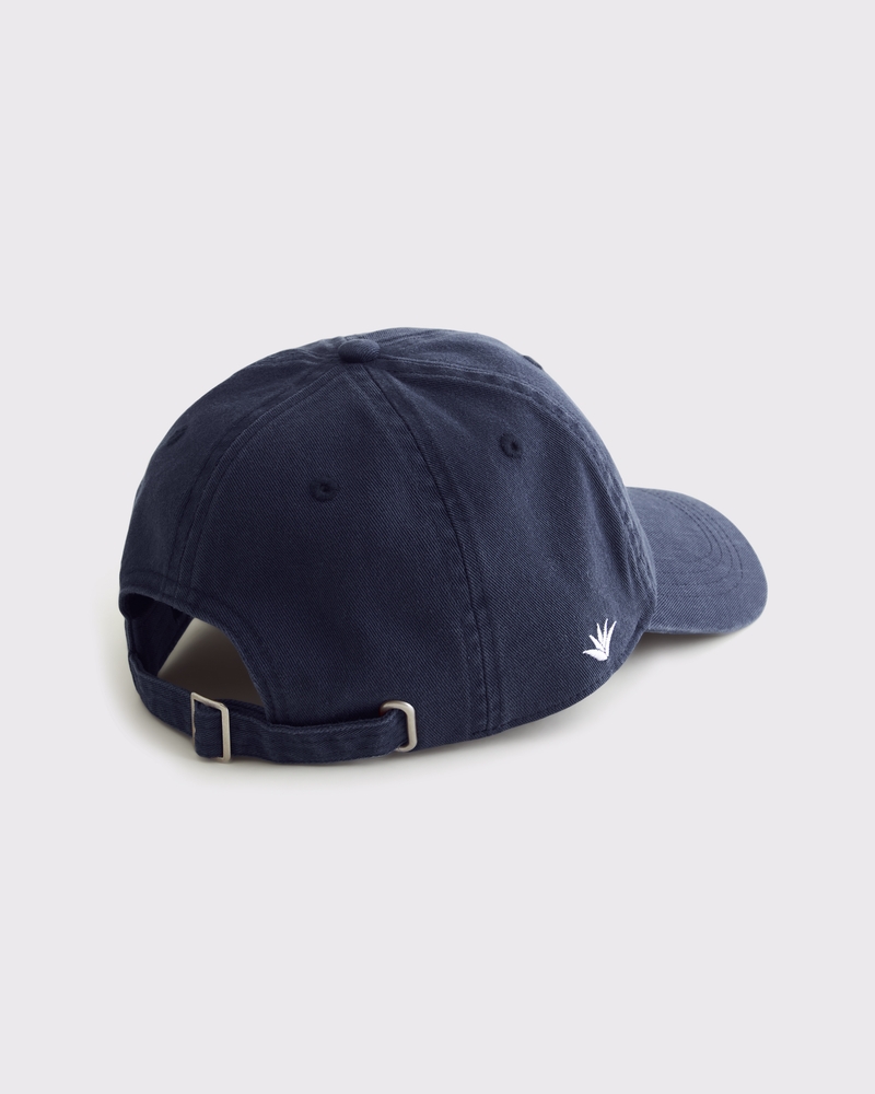 Graphic Baseball Hat
