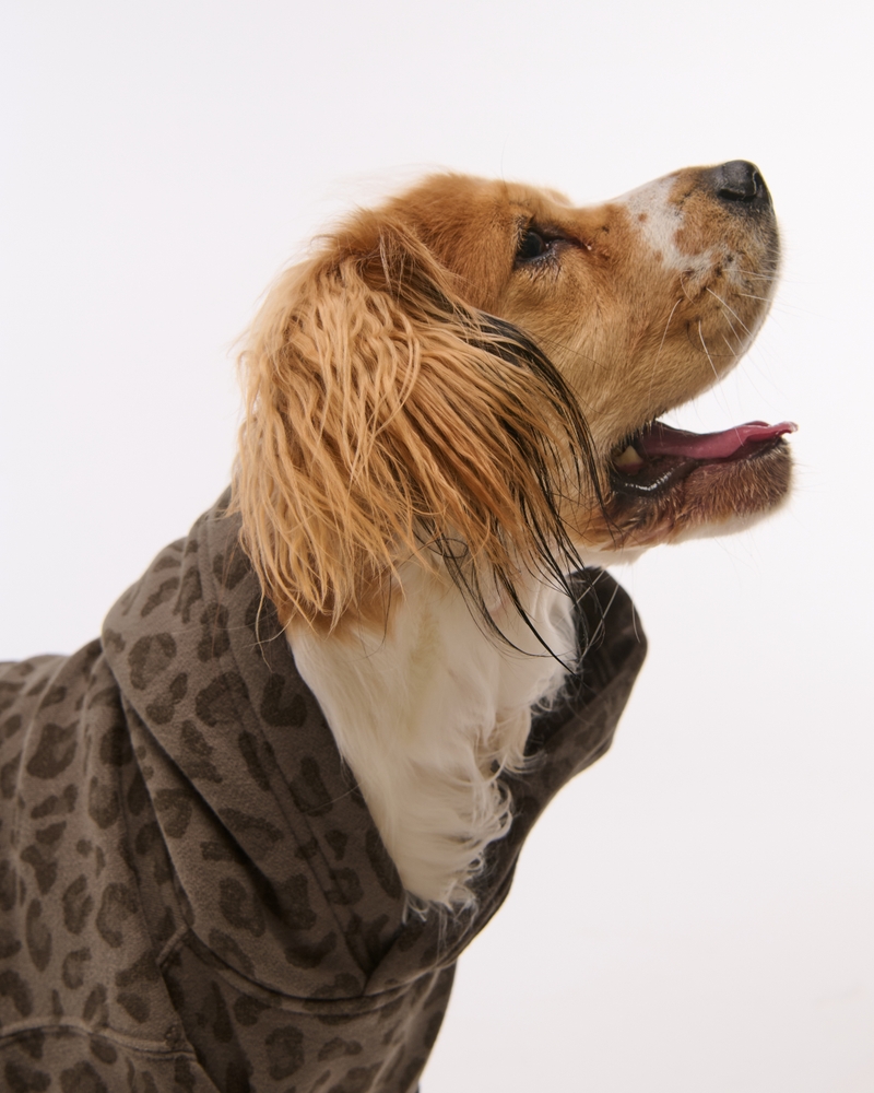 The A&F Essential Pet Pupover