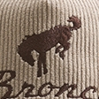 bronco