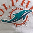 white - dolphins