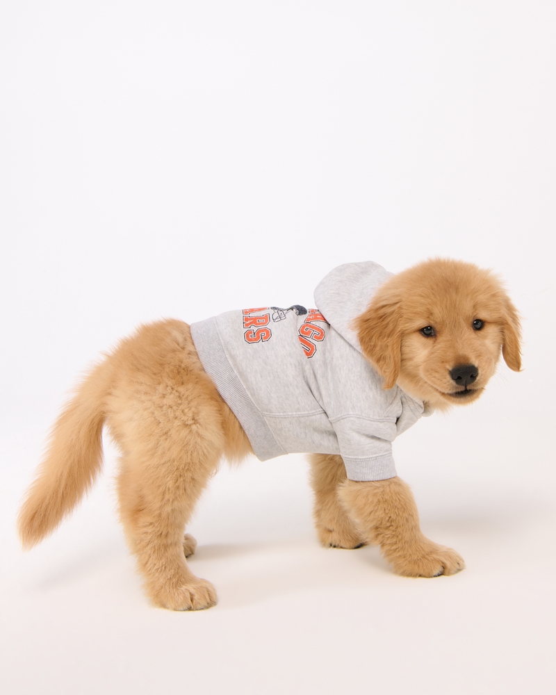 Chicago Bears Pet Pupover