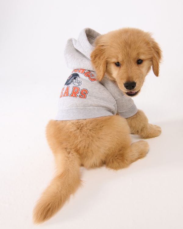 Chicago Bears Pet Pupover, Light Gray - Bears view 1