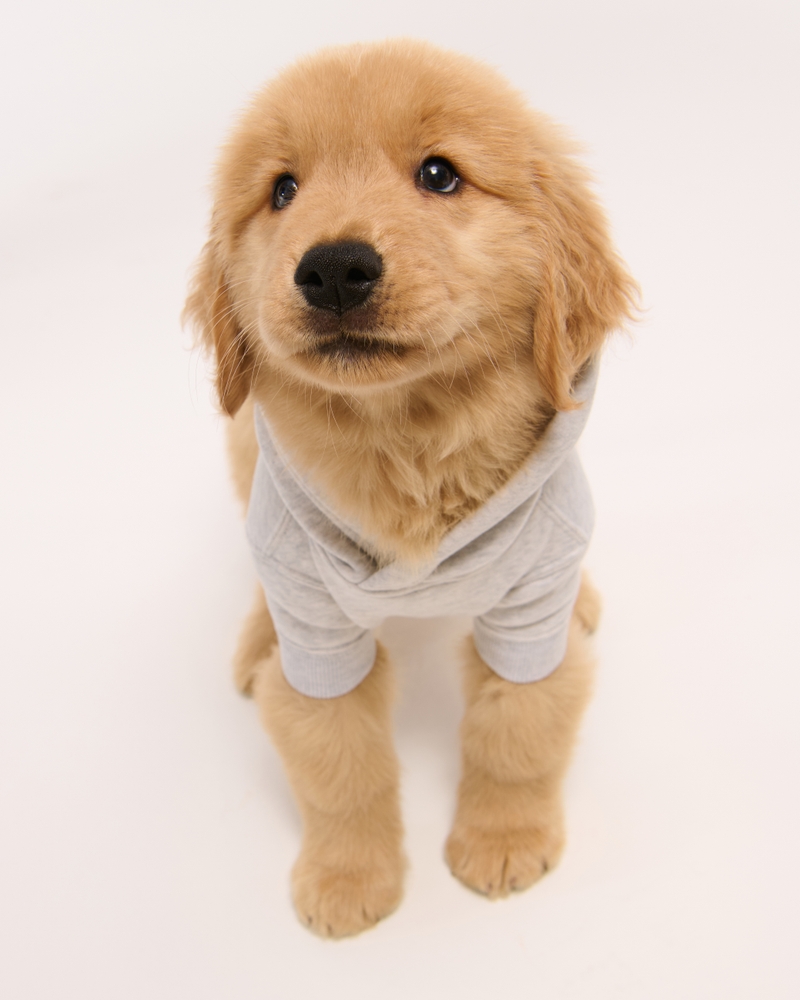 Chicago Bears Pet Pupover