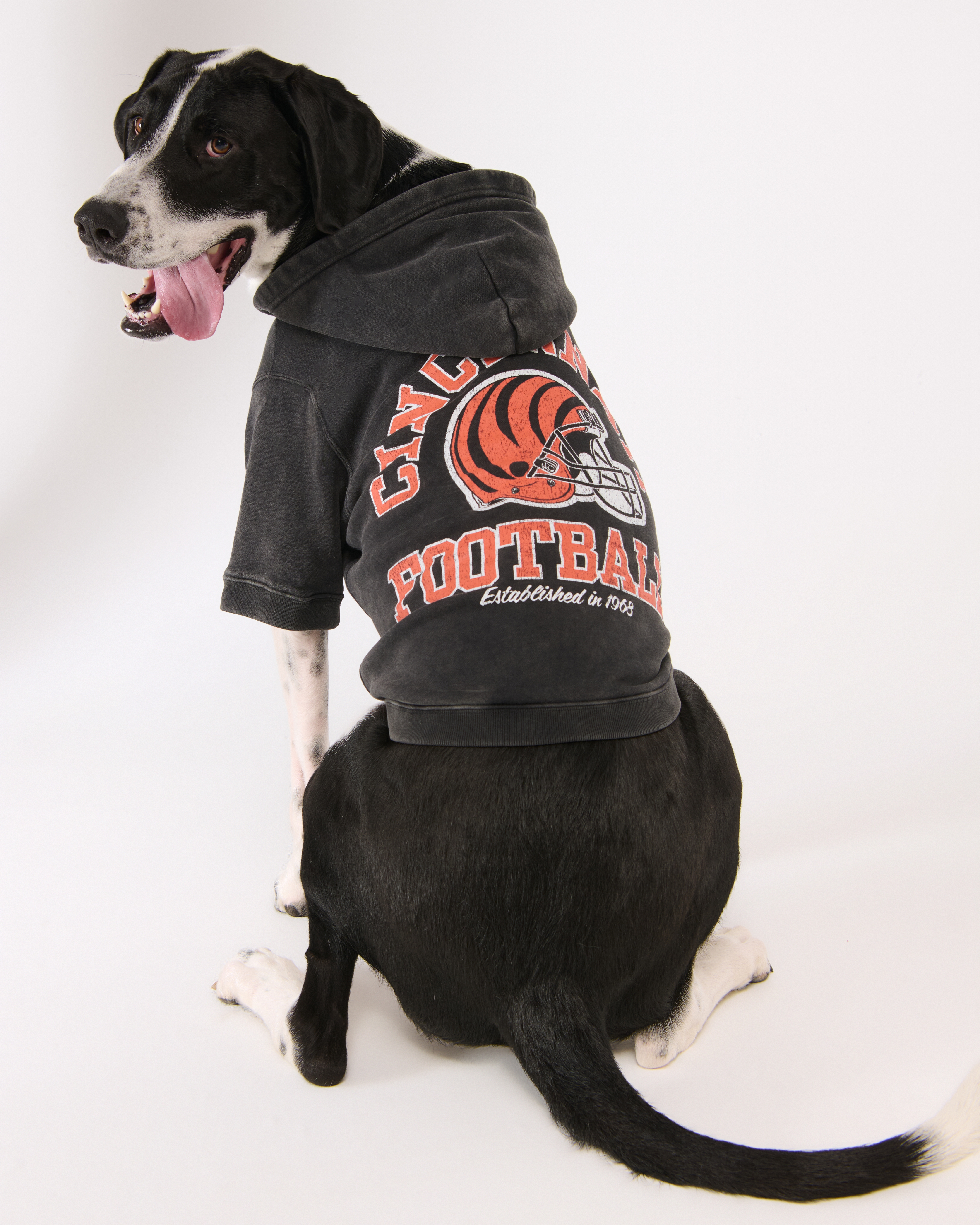 Толстовка для собаки Abercrombie & Fitch Cleveland Browns — фото 2