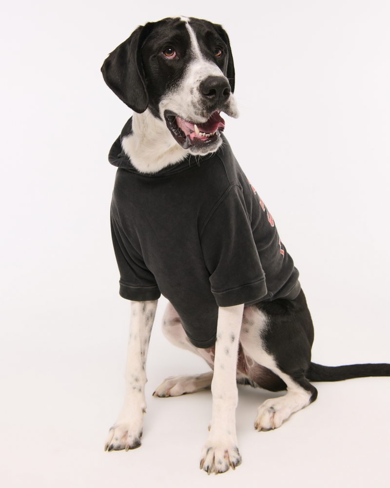Cincinnati Bengals Pet Pupover