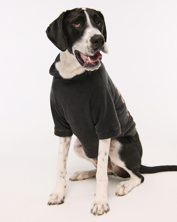 Cincinnati Bengals Pet Pupover