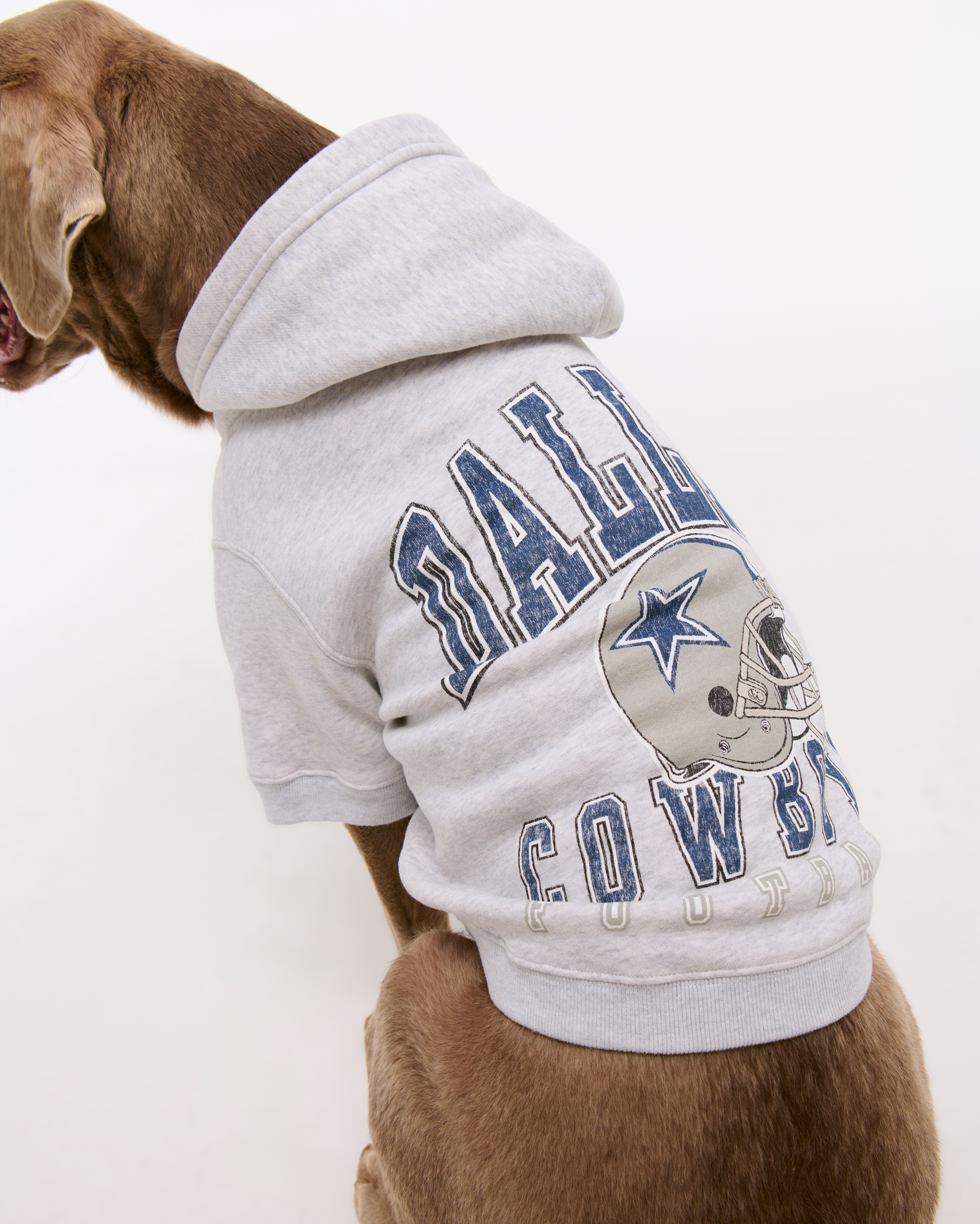 Women's Dallas Cowboys Pet Pupover | Women's Accessories