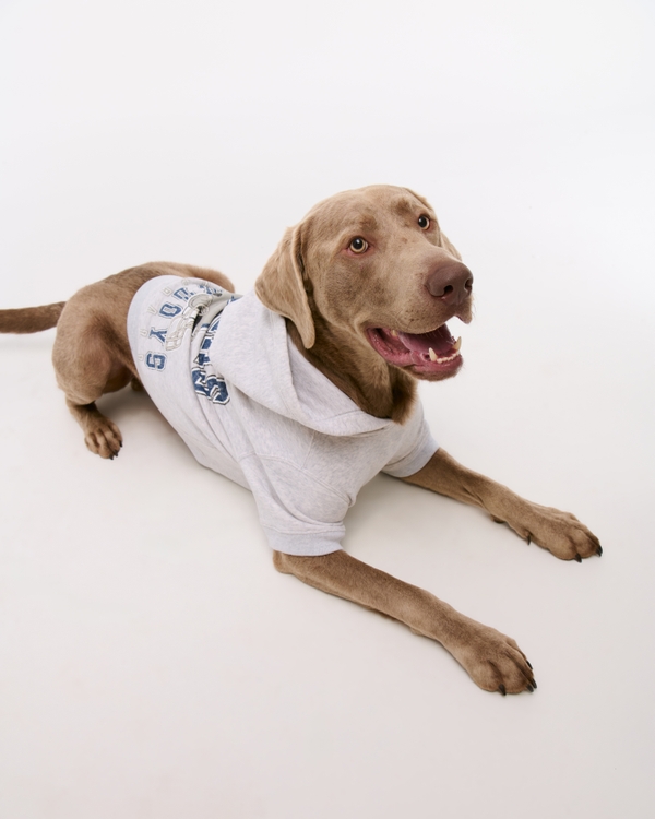 Dallas Cowboys Pet Pupover