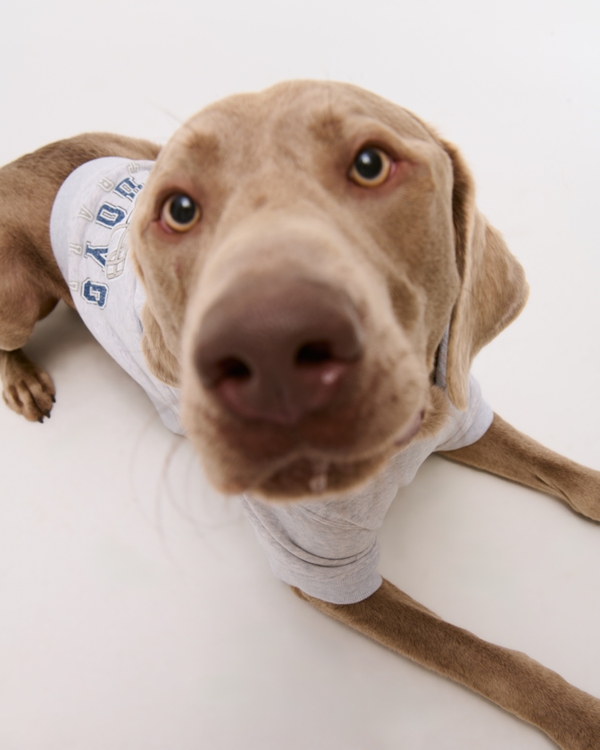 Dallas Cowboys Pet Pupover