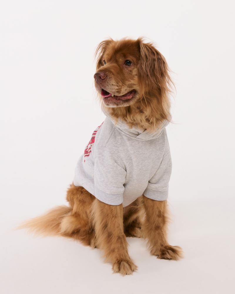 San Francisco 49ers Pet Pupover