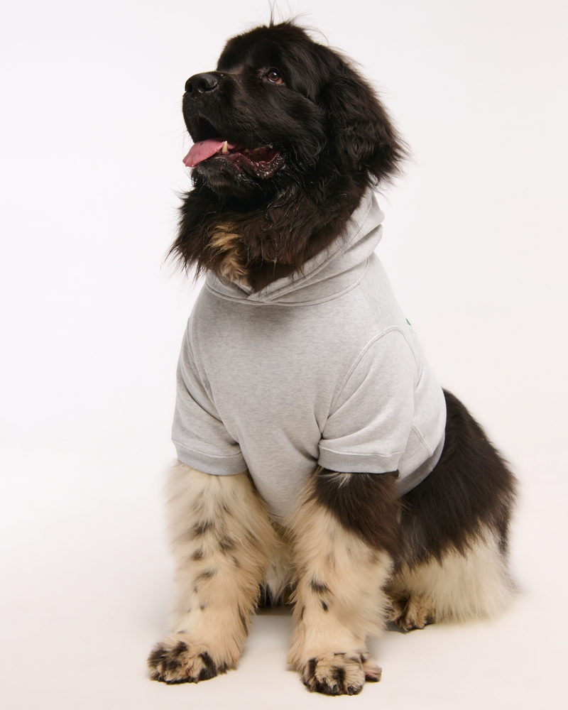 Philadelphia Eagles Pet Pupover