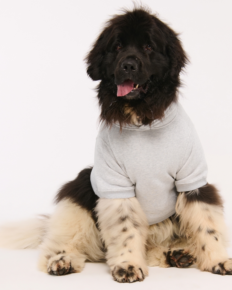 Philadelphia Eagles Pet Pupover