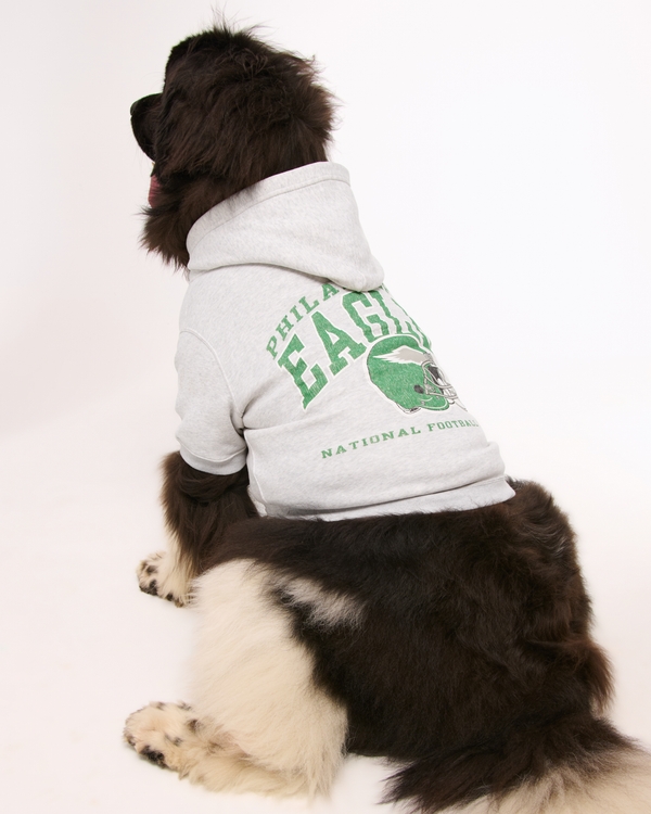 Philadelphia Eagles Pet Pupover, Light Gray - Eagles view 1