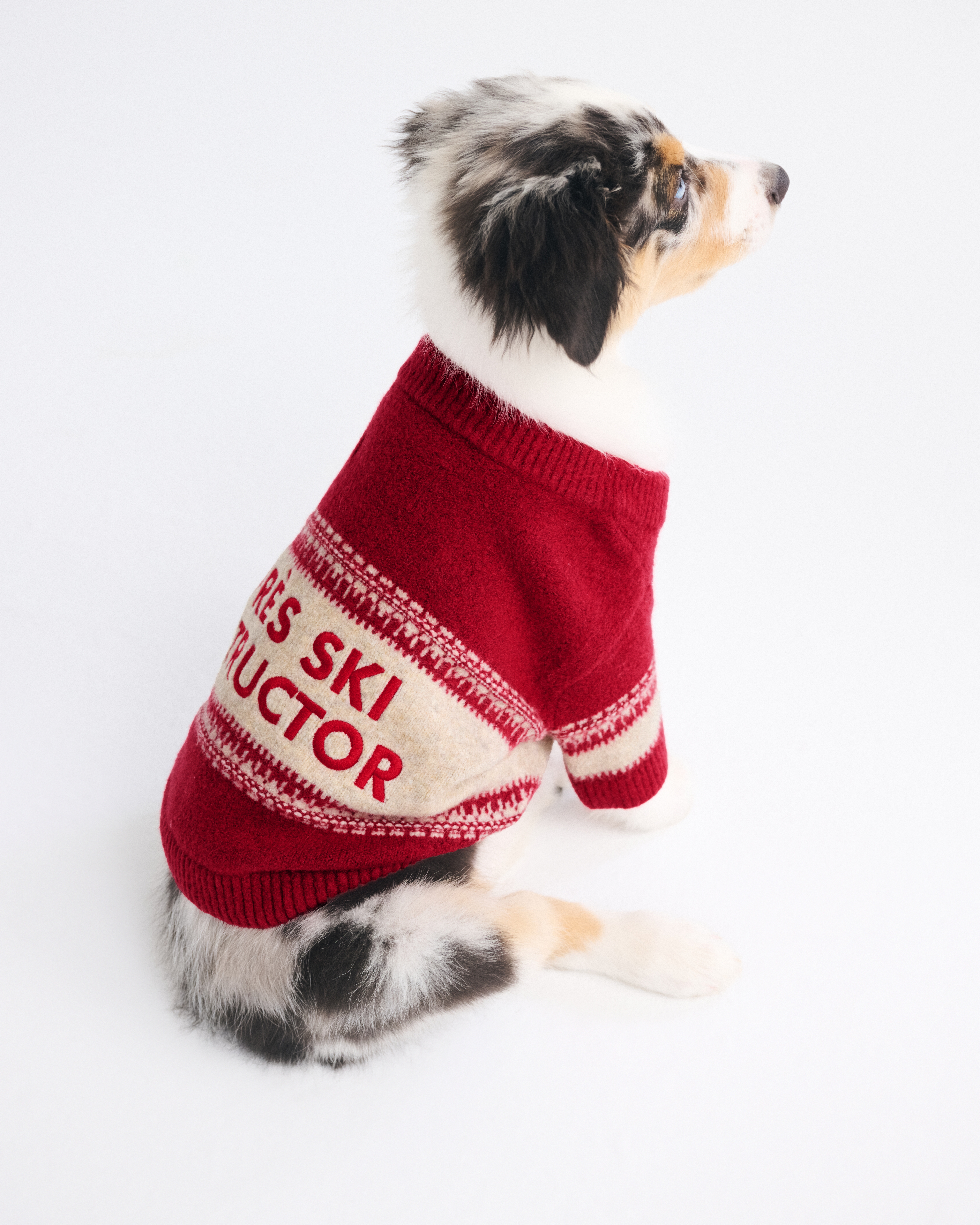 Мужской свитер Abercrombie & Fitch Graphic Pet, цвет: Красный — фото 3