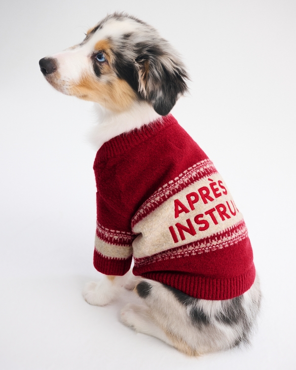 Graphic Pet Sweater