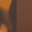 tortoise shell frame & brown lens