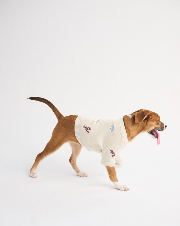 Graphic Pet Sweater, Cream view 2