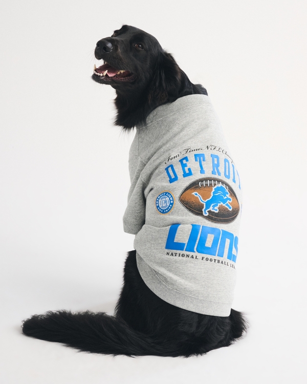 Detroit Lions Pet Sweatshirt, Gray-lions view 1