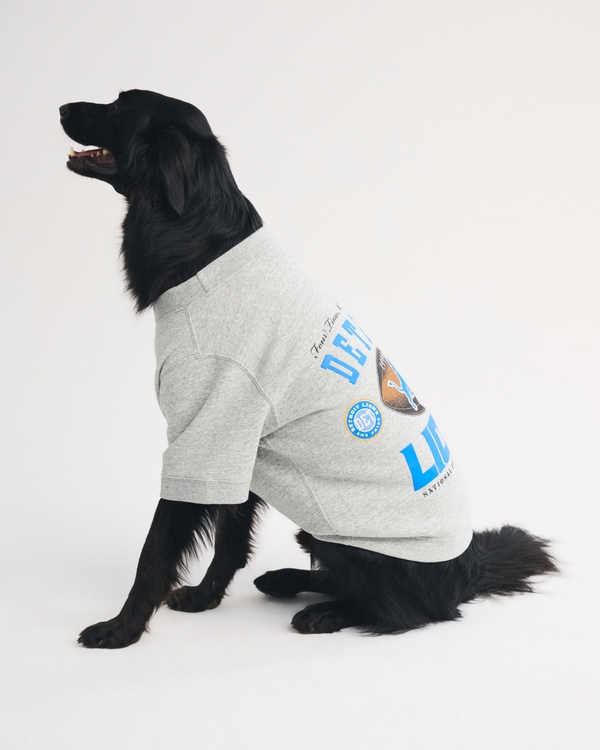 Detroit Lions Pet Sweatshirt, Gray-lions view 2