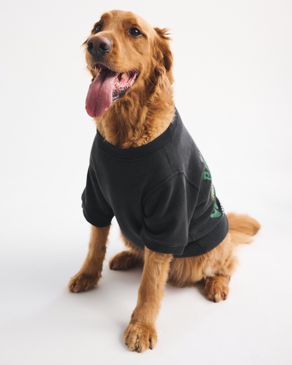 Philadelphia Eagles Pet Sweatshirt, Black-bills view 1