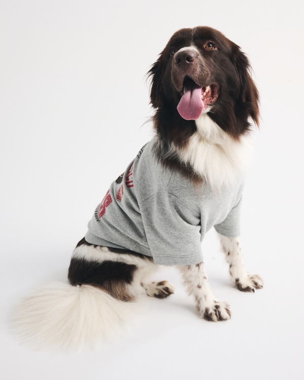 San Francisco 49ers Pet Sweatshirt, Gray-49ers view 1
