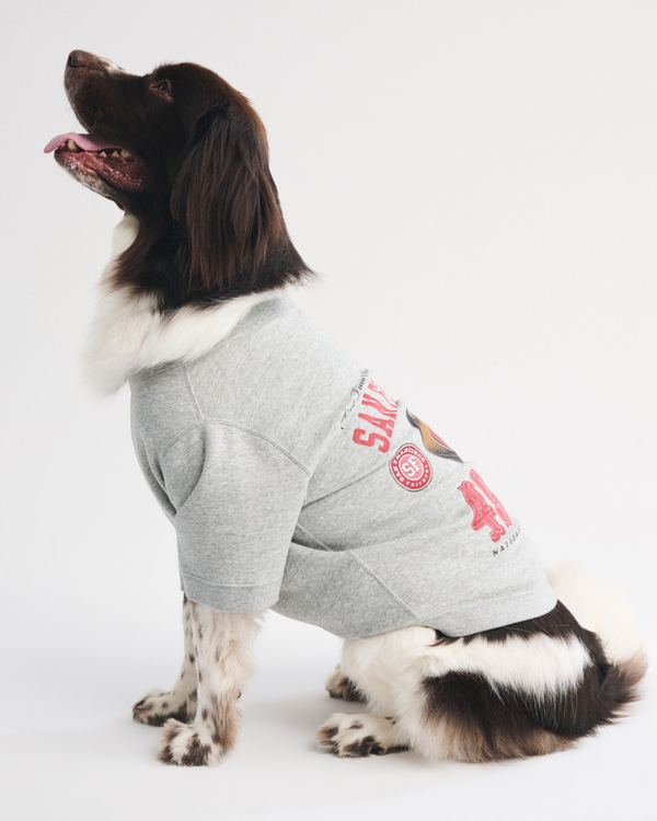 San Francisco 49ers Pet Sweatshirt, Gray-49ers view 2