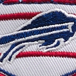 blue-bills