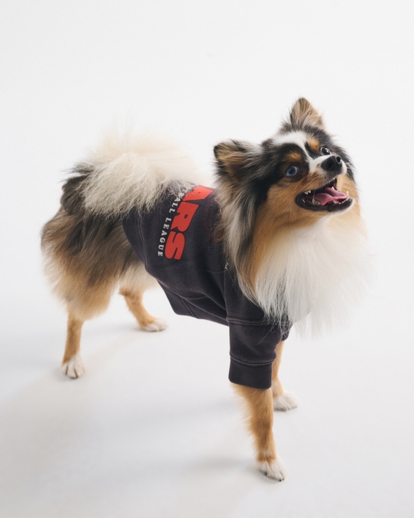 Chicago Bears Pet Sweatshirt, Dark Gray-bears view 1